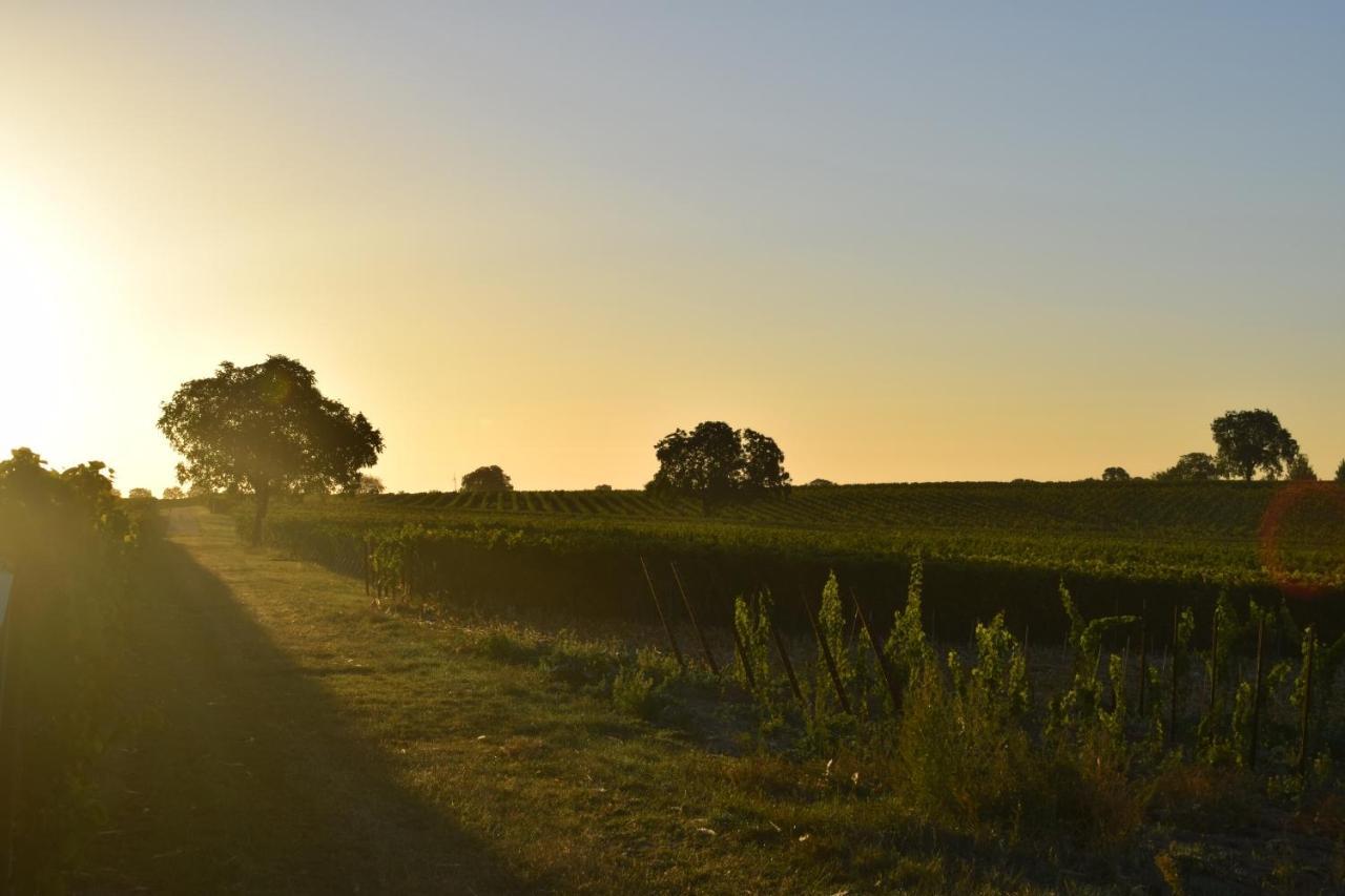 Ferienhaus & Weingut Am Steingebiss Billigheim-Ingenheim エクステリア 写真