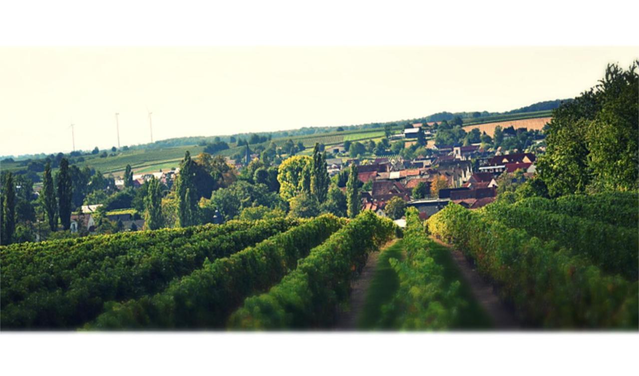 Ferienhaus & Weingut Am Steingebiss Billigheim-Ingenheim エクステリア 写真